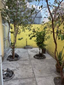Patio trasero